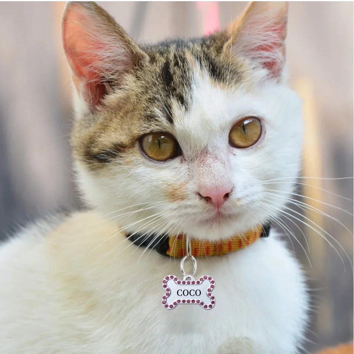 VIP Personalized Engraved Pet ID Tag — Dog & Cat Name Tag
