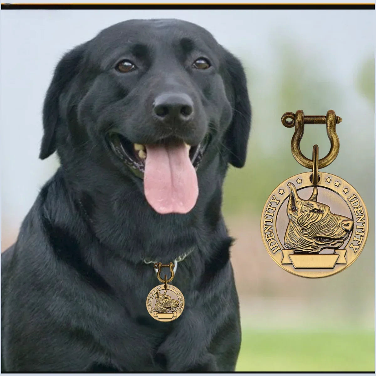 VIP Personalized Engraved Pet ID Tag — Dog & Cat Name Tag