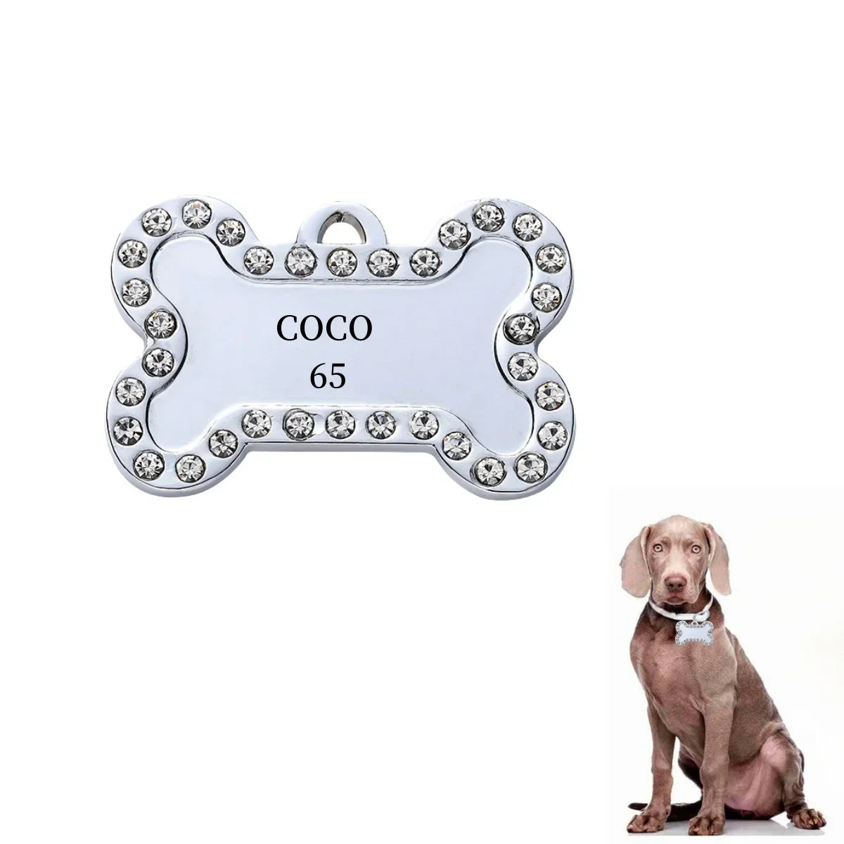 VIP Personalized Engraved Pet ID Tag — Dog & Cat Name Tag