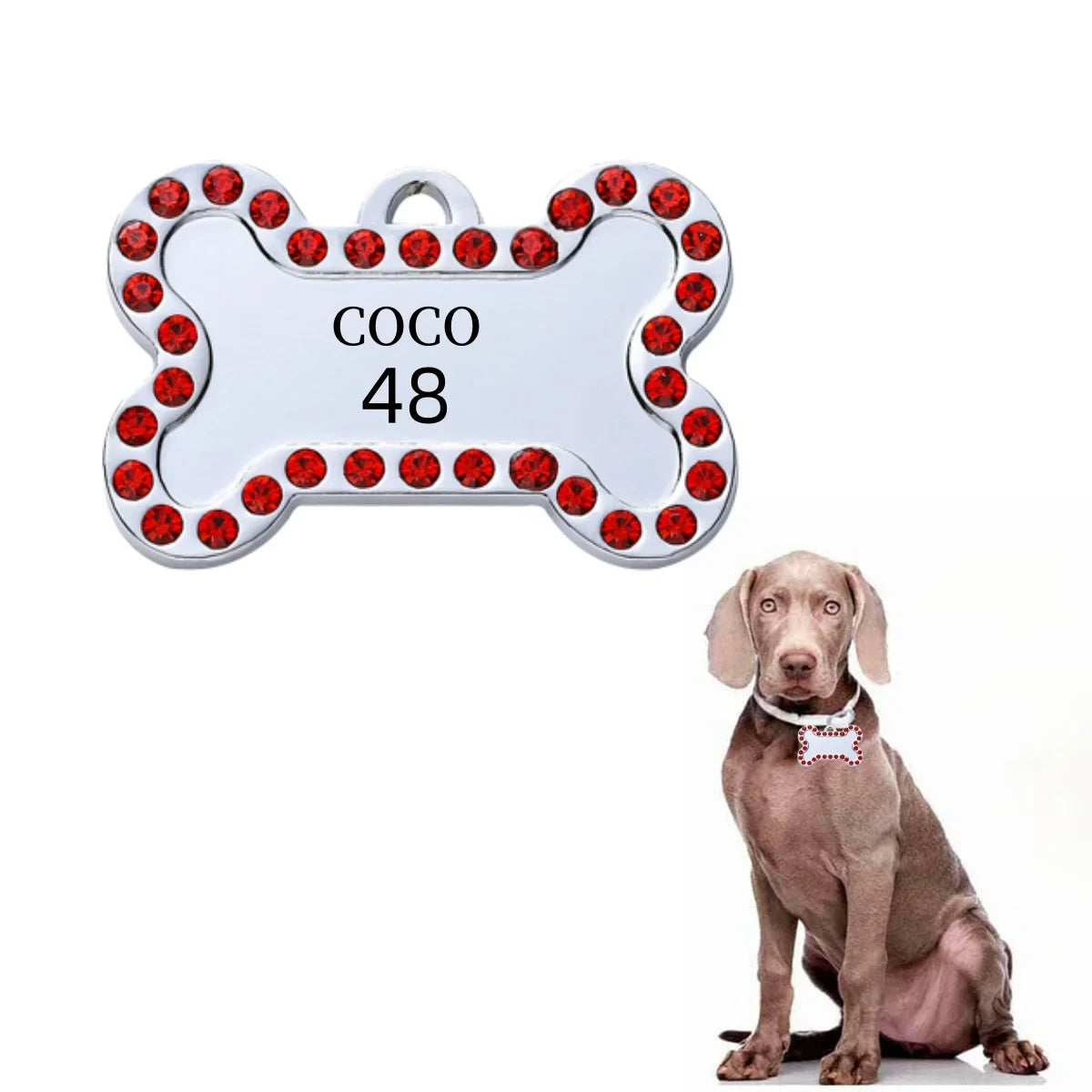 VIP Personalized Engraved Pet ID Tag — Dog & Cat Name Tag