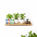 Indoor herb garden kit with small pots of basil, mint and parsley, seed packets and wooden tray on white background